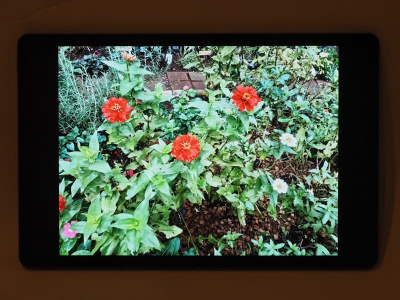 液晶の発色も良好だ