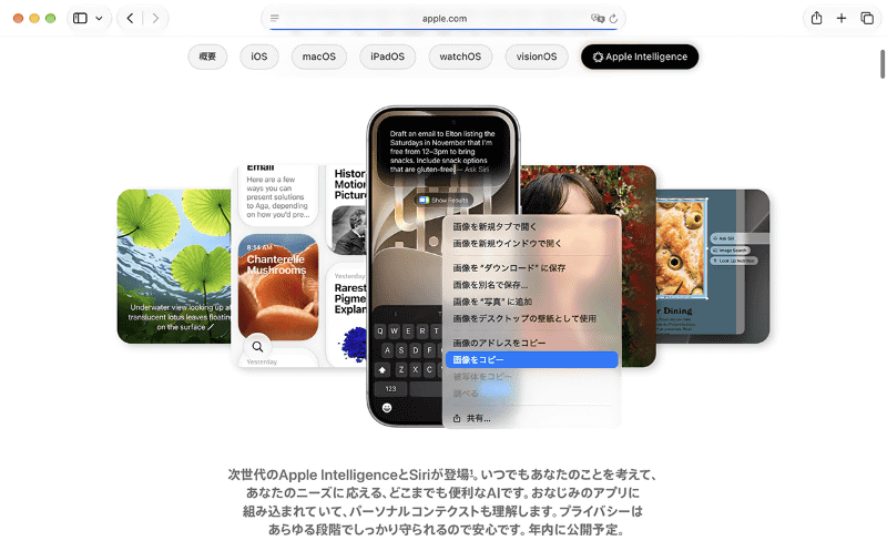 画像も同様に、コピーしたものをデスクトップなどに直接ペーストできます