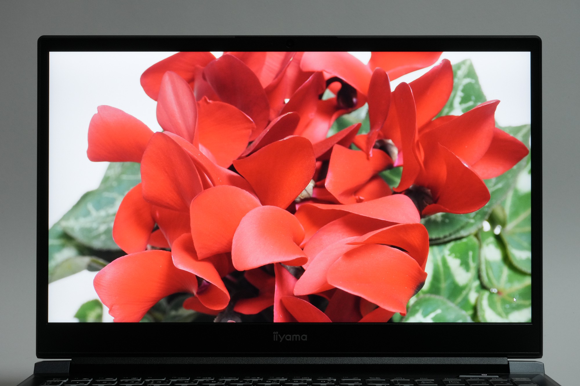 実際に写真を表示してみたところ、発色は自然で、実物と大きな差は感じられなかった