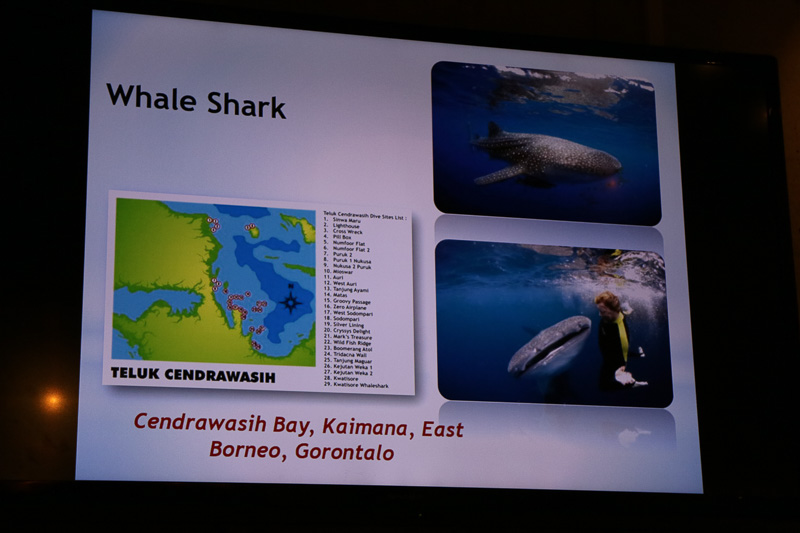 ジンベイザメ（Whale Shark）を見るダイビングスポット