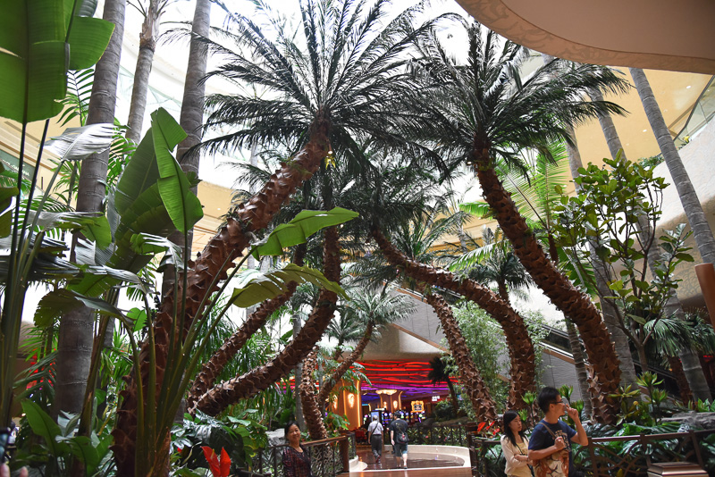 「パームズ」はロビー奥のヤシの木が生い茂るエリアにある