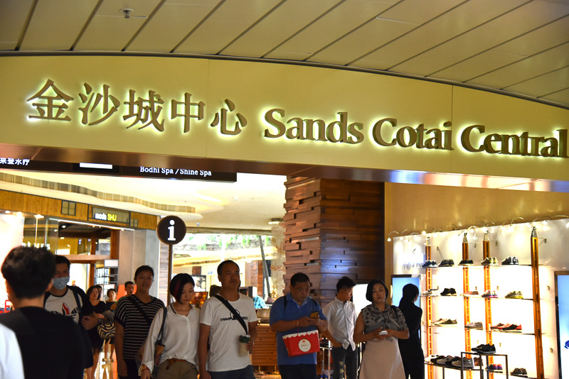 空中遊歩道は各エリアを行き来する手段として多くの人が利用している