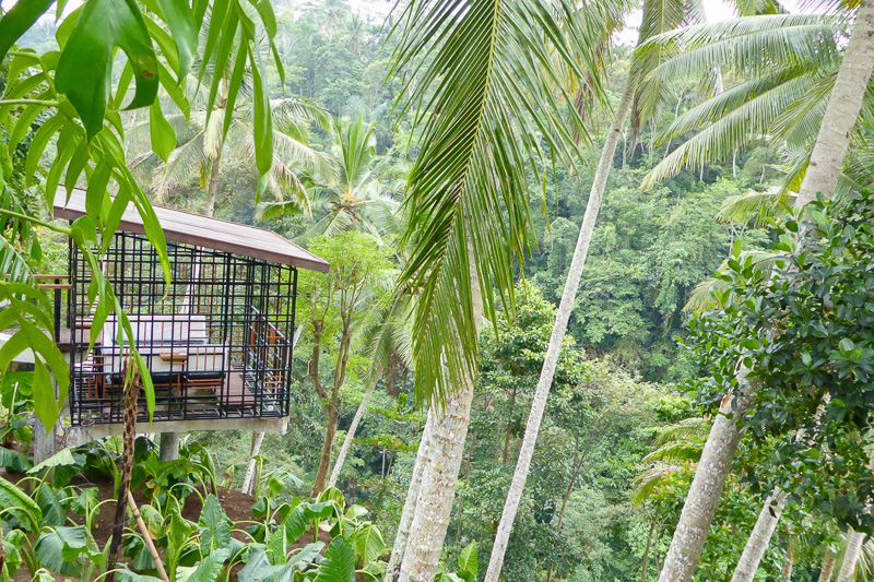 敷地内には渓谷に面した7つのガゼボ（東屋）があり、ココヤシにちなんだスイーツやスナック、フレッシュジュース、オリジナルカクテルなどを提供する予定だ（画像提供：星野リゾート）