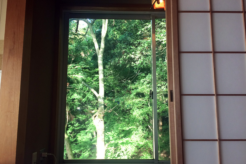 思わず布団の中からスマホに手を伸ばして撮った一枚