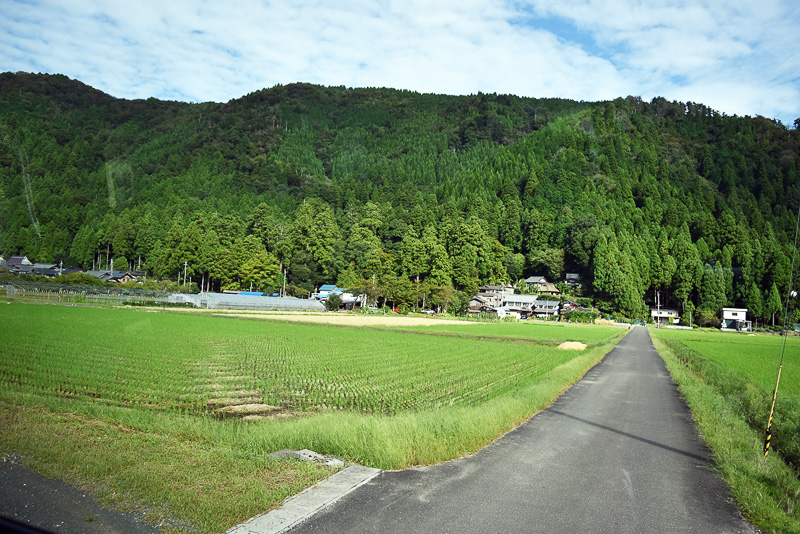 田んぼが広がるこんなのどかな場所でした