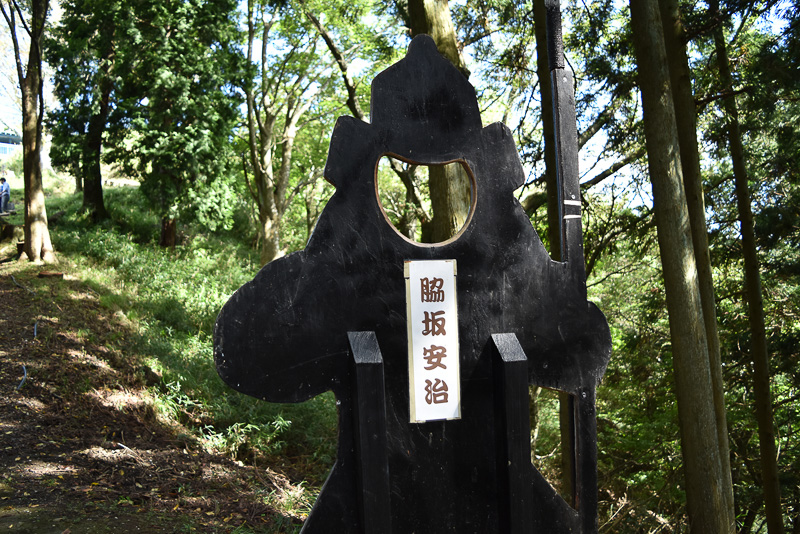 七本槍を知らなくても大丈夫。後ろにちゃんと名前が入っています