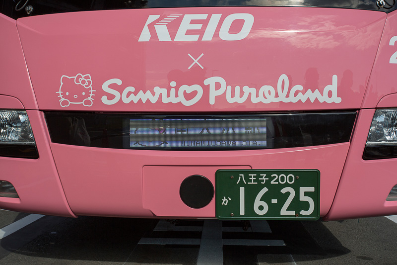 ナンバーの横にあるのが車間センサー。カメラは白線を認識してふらつきを防止用