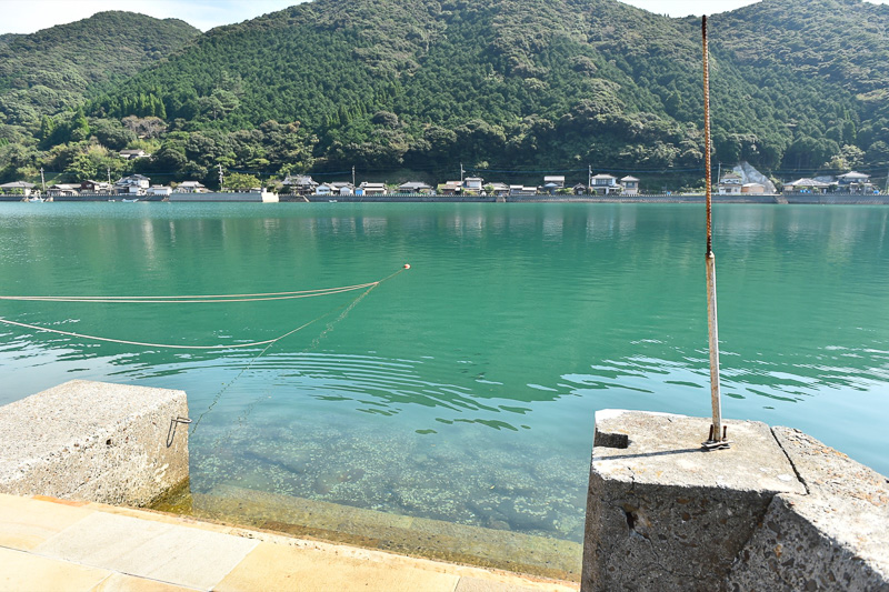 このような風景が街のいたるところで見られる