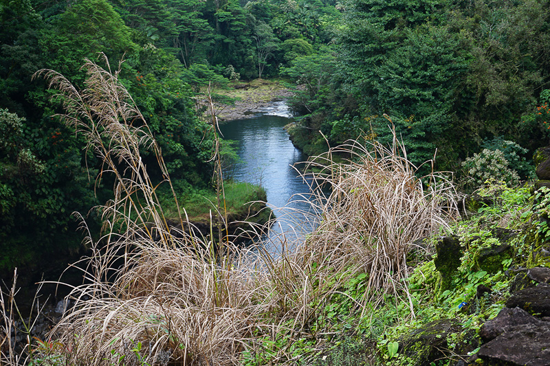 緑豊かなワイルク川