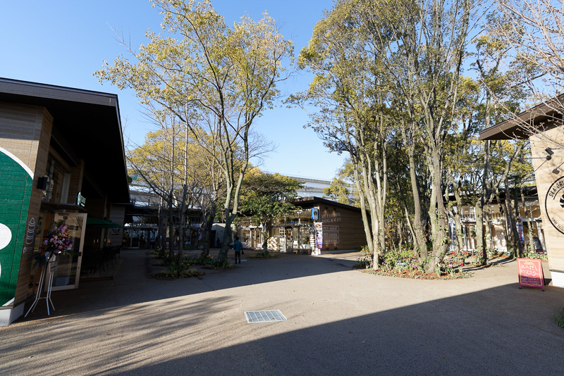 森の雰囲気たっぷりの「フォレストガーデン」