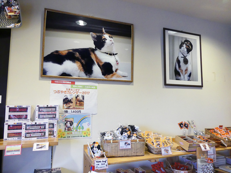 紀の川の観光振興に貢献した、たま駅長の写真