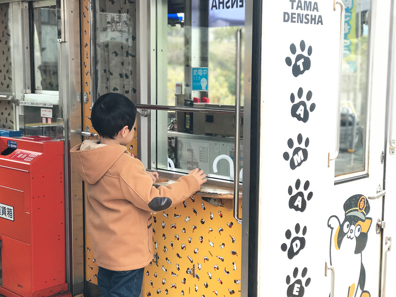 もちろんチビっ子にも大人気