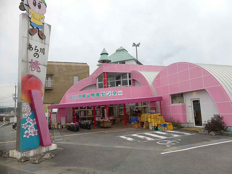 和歌山駅に向かうバスの中から見えたピンク色の建物「紀の川市桃山特産センター」