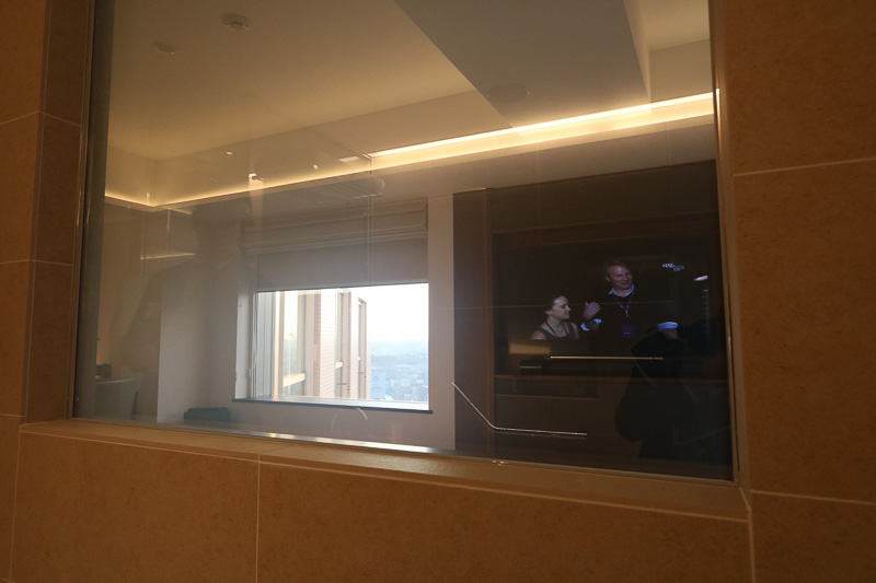 透明にすると、テレビも外の景色も望める