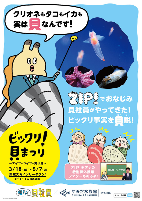 企画展「ビックリ！ 貝まつり～アイツもコイツも実は貝～」
