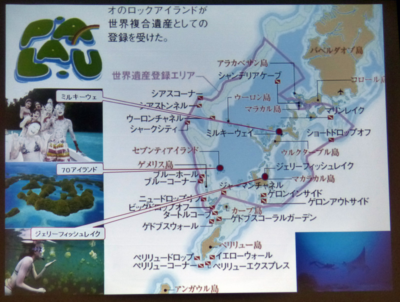 ピンクの線で囲まれた部分が世界複合遺産として認定を受けたところ。バベルダオブ島の南、コロール島から、一昨年、天皇皇后両陛下が慰霊で訪れたペリリュー島の海域までが認定された