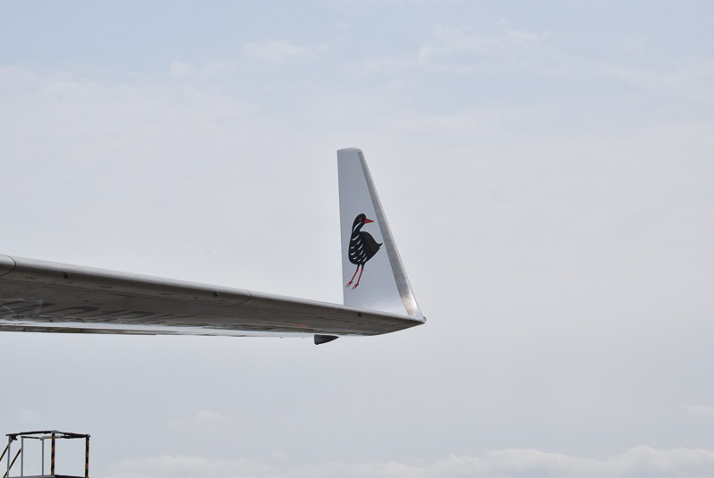 主翼先端のウィングレット内側に描かれたヤンバルクイナ。縦97cm、横64cmの大きさだ