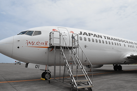JTA、ボーイング 737-800型機のウィングレットに“ヤンバルクイナ” 世界
