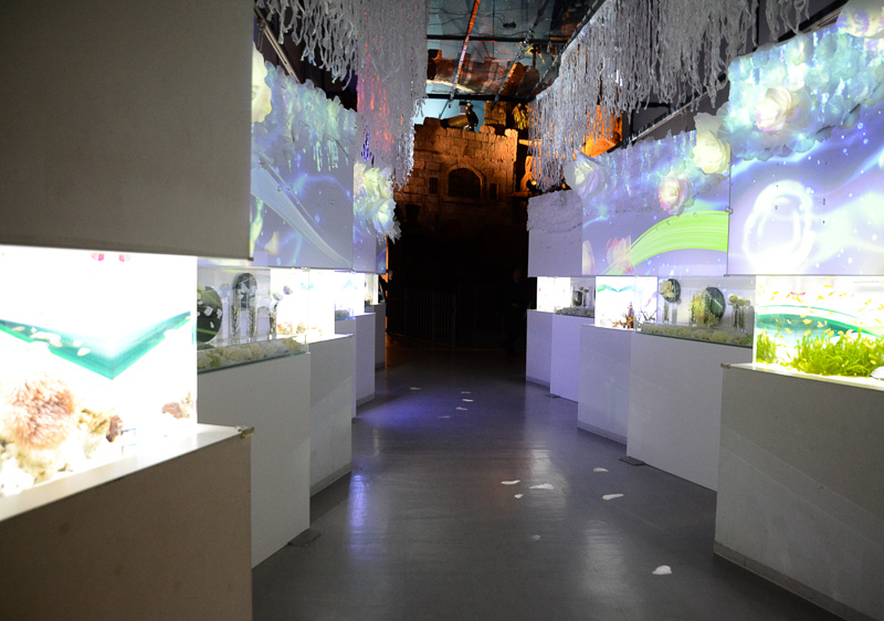 「BLOWING FLOWER」。水槽×花を交互に配置したアトリウムのようなゾーン「カラーズ」