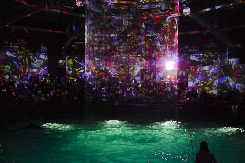 「ナイトパフォーマンス『THE LIFE』」公演の様子