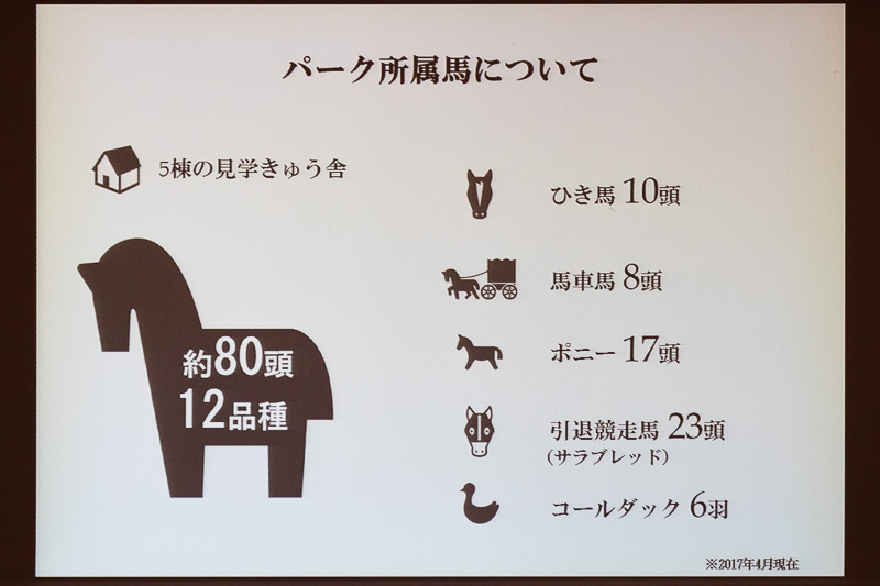 5棟の見学厩舎に約80頭の馬を繋養