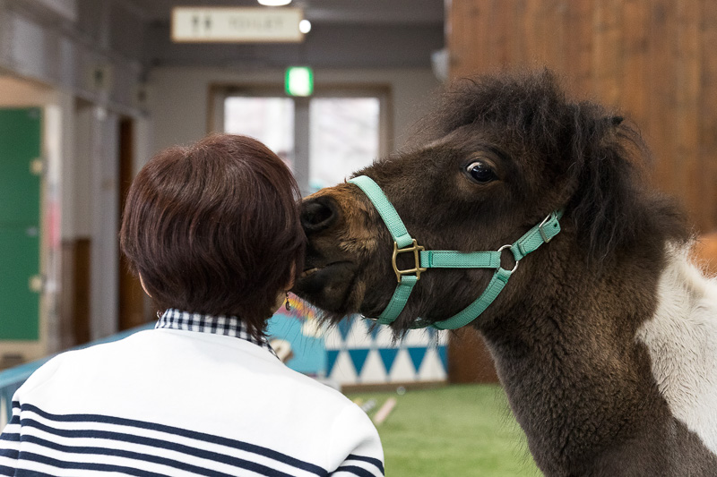 キスしてくれたり