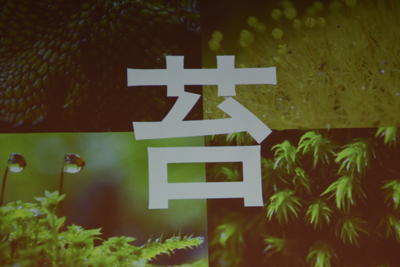 奥入瀬渓流ホテルは、苔をテーマに部屋や食事を提供