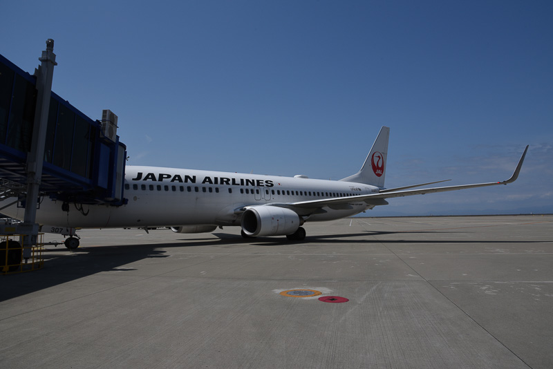 ブロックアウトを待つJL3105便