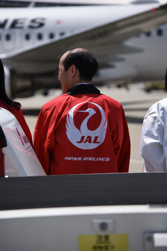 ブロックアウトまで時間があったので後ろ姿ギャラリー