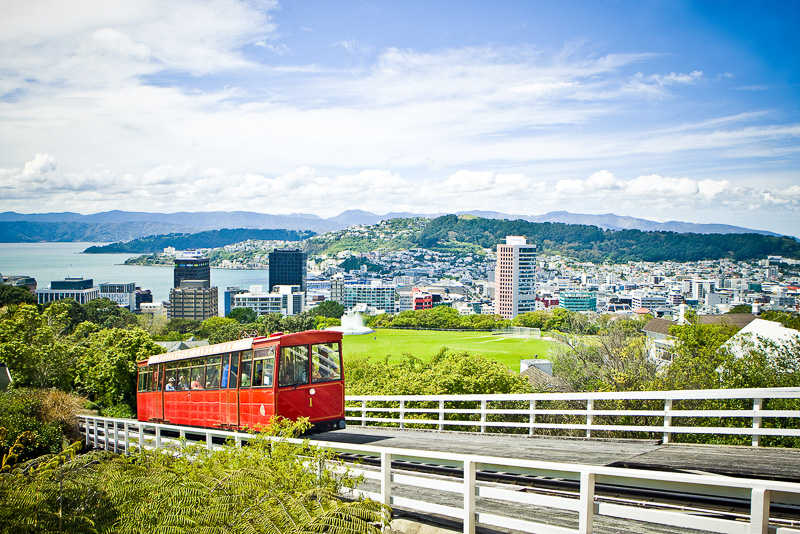 野生生物の保護区「ジーランディア・エコ・サンクチュアリ」<br>（C）Tourism New Zealand