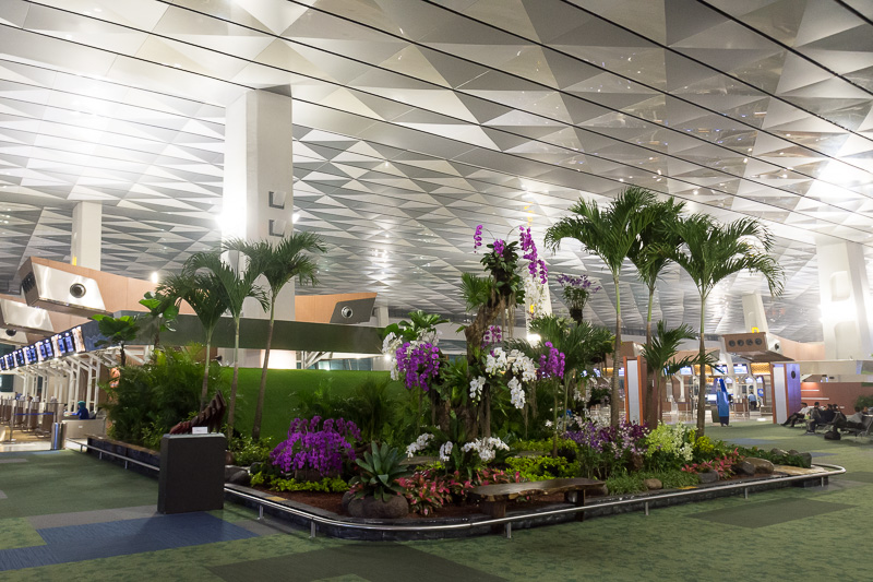 このような緑にあふれた休憩スペースもカウンターの端に設けられている