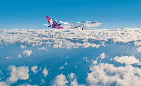ハワイアン航空　HAWAIIAN AIRLINES お皿　２枚　希少　ハワイ 新品、本物、当店在庫だから安心】 ハワイアン航空 ハワイ好き