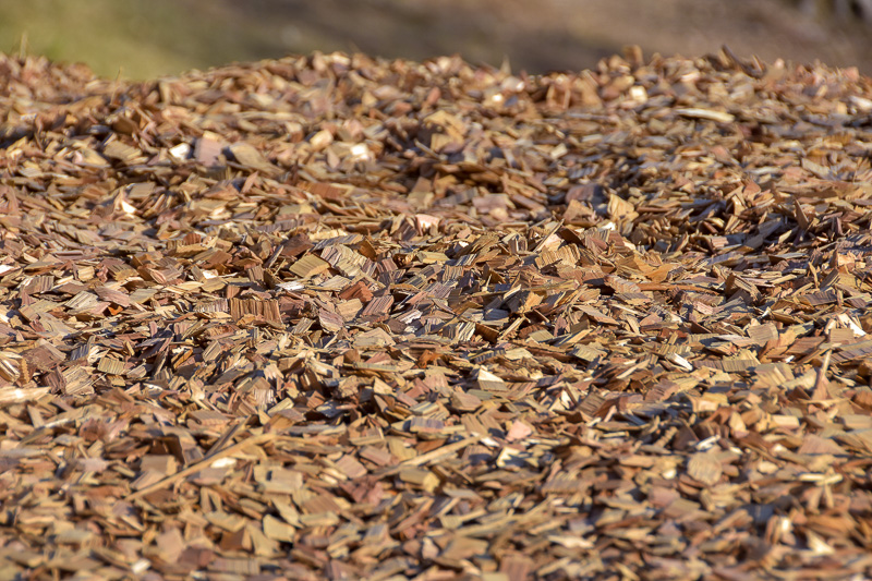 着地地点の足場にはウッドチップが敷き詰められている