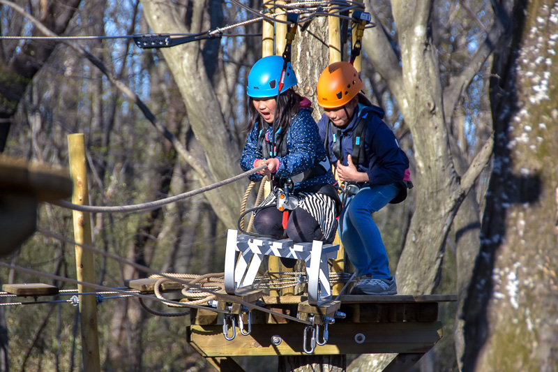座った状態で滑空するなど、KOZARUにも勇気を試されるアクティビティもある