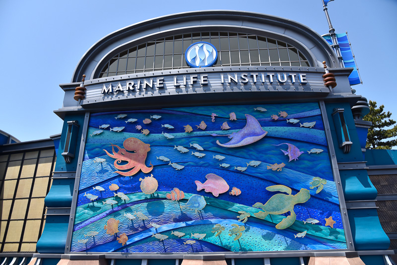 「海洋生物研究所（MARINE LIFE INSTITUTE）」の外壁には、たくさんの魚たちのシルエットが描かれている