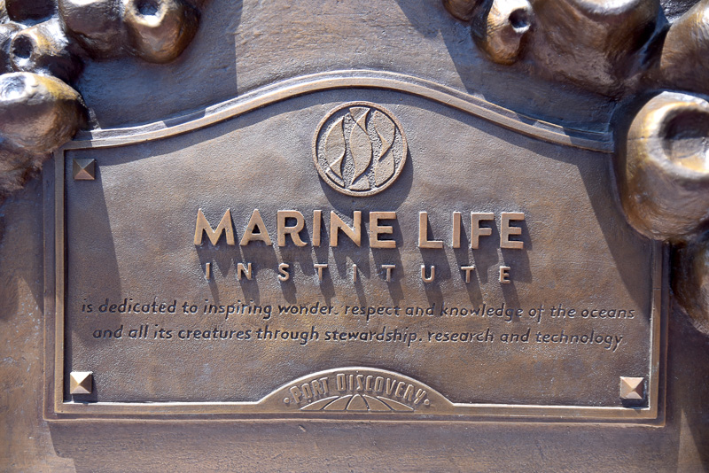 ニモやマーリンにドリー、そして「シーライダー」のオブジェも発見。「海洋生物研究所（MARINE LIFE INSTITUTE）」についても刻まれている