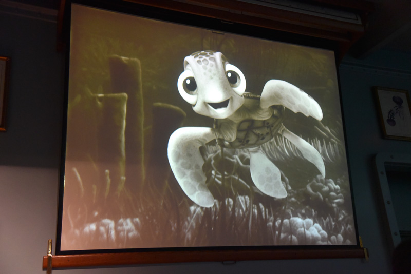 新たなゲストとして登場するクラッシュの息子のスクワートやジンベエザメのデスティニーも紹介