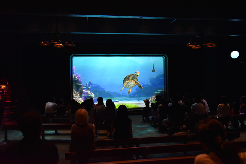 クラッシュに挨拶したり、質問をしたりしてコミュニケーションを楽しもう