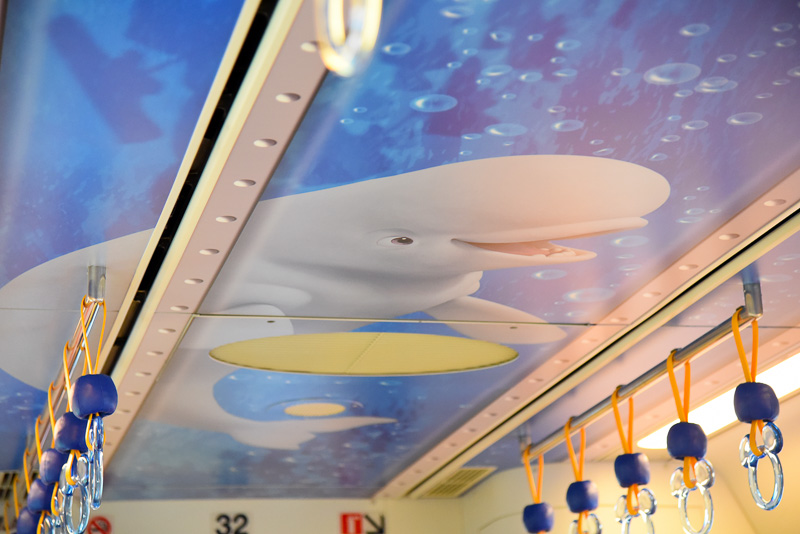 天井は海の世界を見るための窓となっており海の仲間たちがご挨拶