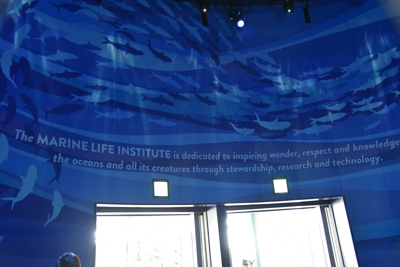 研究所はひんやりとしたブルーの世界に包まれており、まるで海のよう