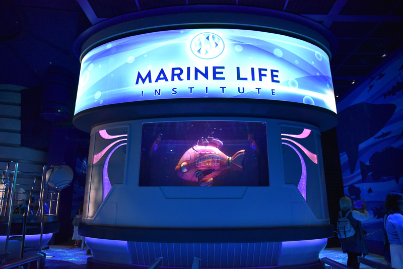 中央には「シーライダー」の模型を展示している