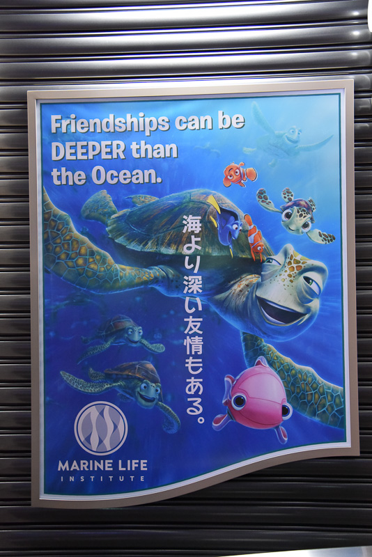 「海より深い友情もある。（Friendships can be DEEPER than the Ocean.）」