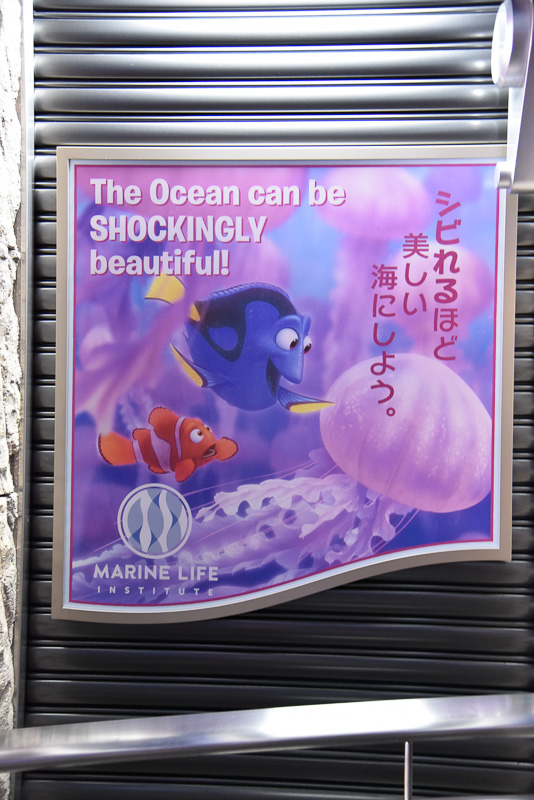 「シビれるほど美しい海にしよう。（The Ocean can be SHOCKINGLY beautiful!）」