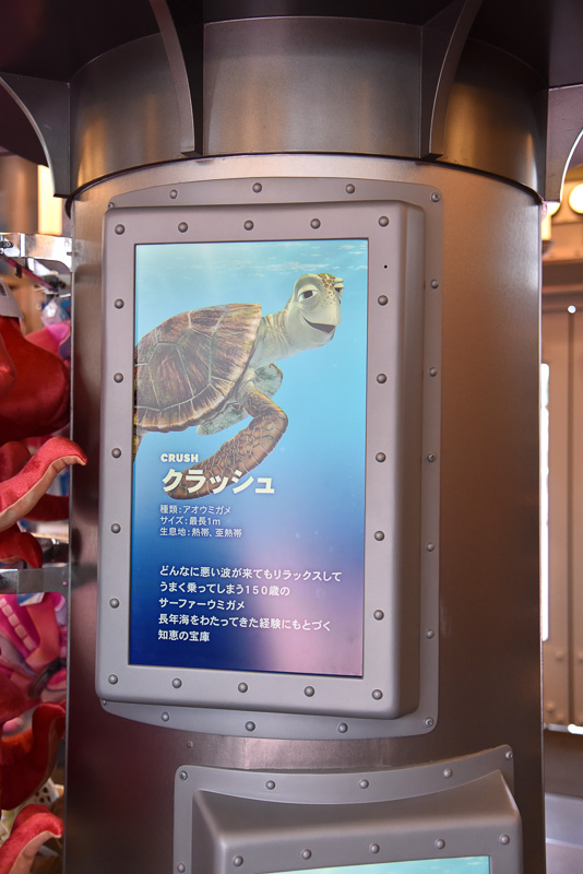 ショップの中央にはモニターがあり、海洋生物や研究所のポスターなどが映し出される