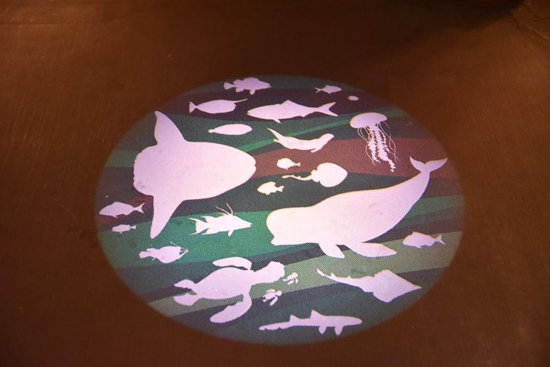 夕方以降は入口周辺に海洋生物のシルエットが映し出される。日没後にも訪れてみては