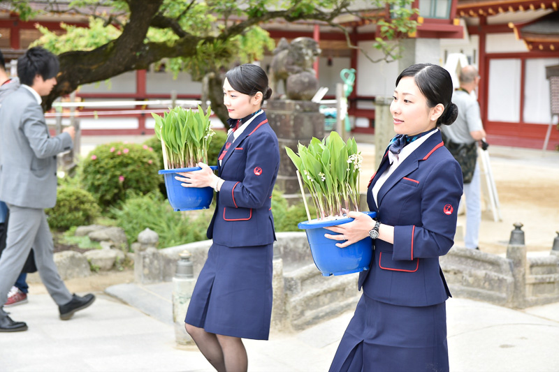 神職に誘導されてすずらんの鉢植を持ちながら進むJALスタッフ