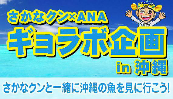 ANAセールスは、さかなクンと魚類について学ぶイベントツアー「さかなクン×ANAギョラボ企画 in 沖縄」を発売中