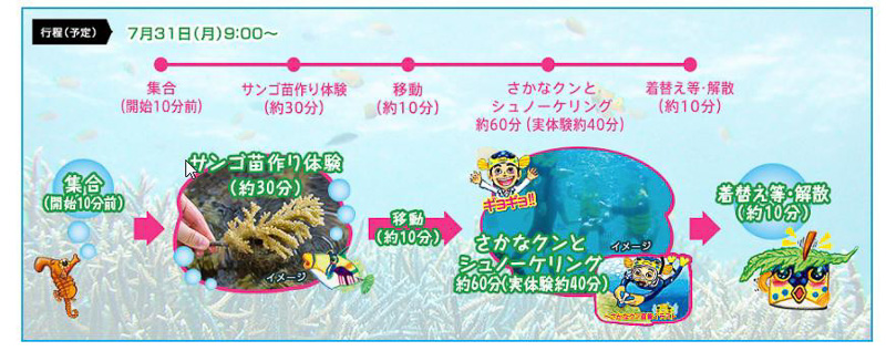 サンゴの苗作り体験＆さかなクンとシュノーケリング行程表