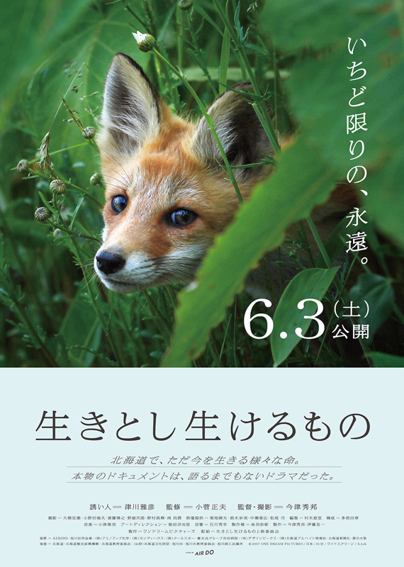 映画「生きとし生けるもの」（C）2017 ONE DREAM PICTURES