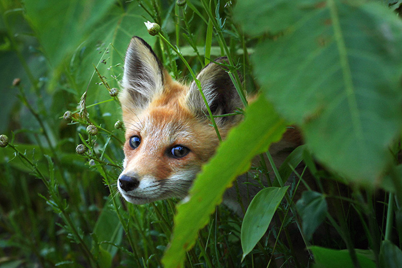 （C）2017 ONE DREAM PICTURES